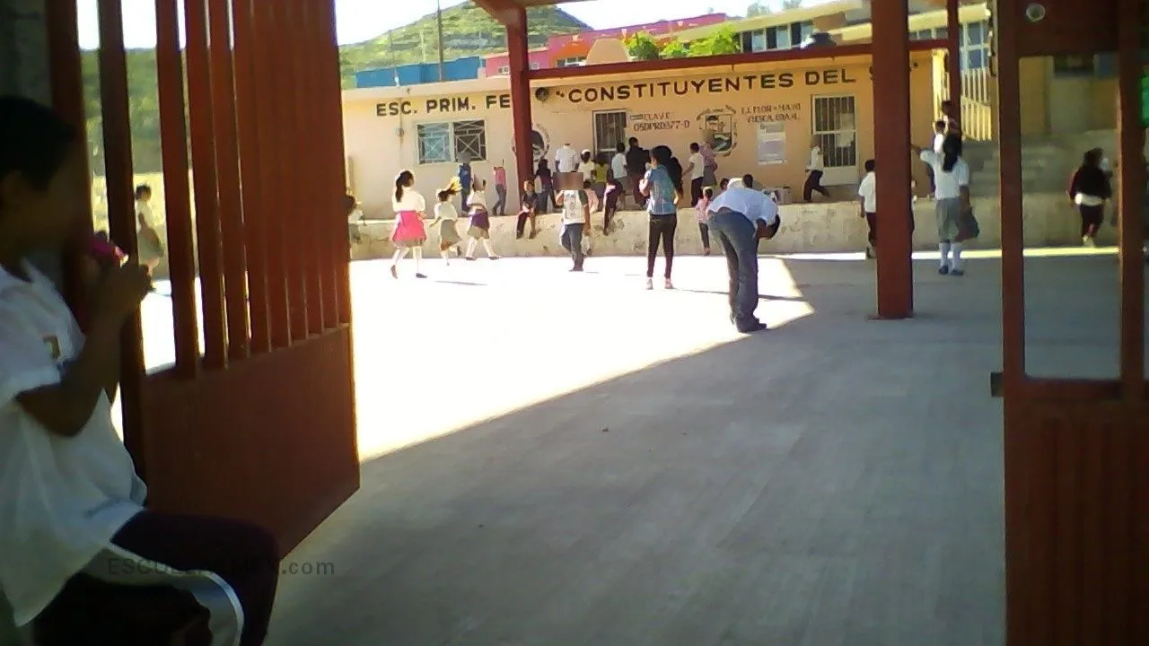 Constituyentes del 57 Entrada