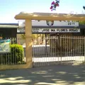 Jose Ma Flores Rosas