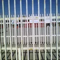 Seccion 5 Profr. Rafael Ochoa Guzman