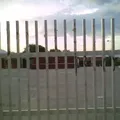 Seccion 5 Profr. Rafael Ochoa Guzman