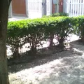 Independencia