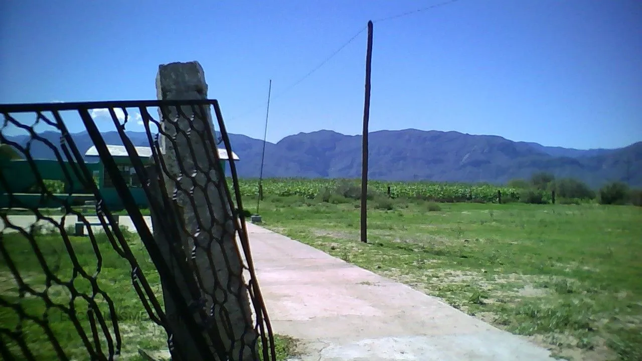 Leona Vicario Entrada