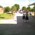 Despertar Lagunero
