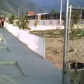 Horacio del Bosque Davila