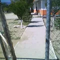 Jaime Torres Bodet