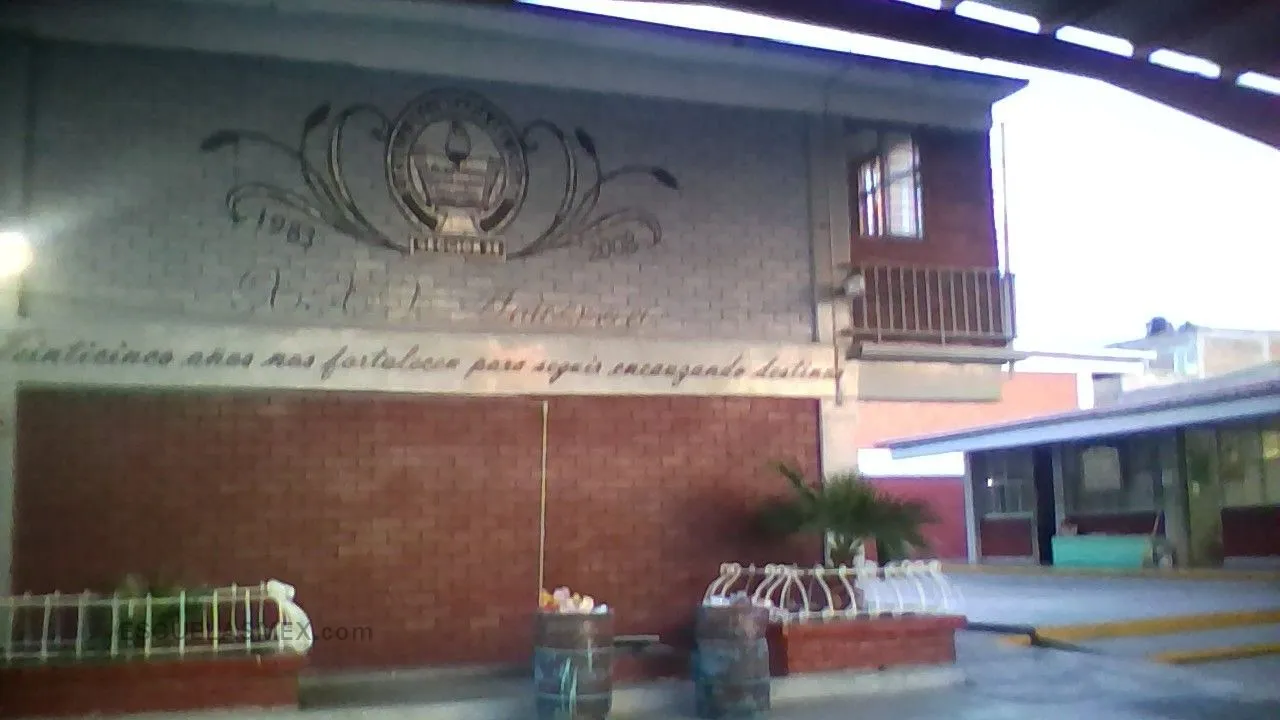 Seccion 38 Entrada