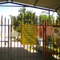 Profa. Juanita Espino Saldivar