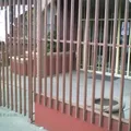 Luis A. Beauregard Anexo A la Enep del Estado