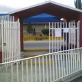 Ninfa Davila Flores