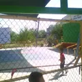 Catalina Falcon Sanchez