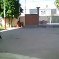 Maria del Socorro Valdes Davila