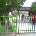 Presidente Lázaro Cárdenas del Río