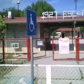Sabinas
