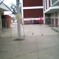 Seccion 147