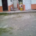Preescolar Comunitario