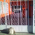 Colegio Amado Nervo