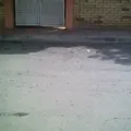 Colegio Cosmo