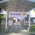 Montessori Servicios Educativos Mosed