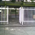 Ricardo Flores Magon