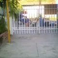 Cristobal Colon