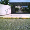 Mercedes Cardenas Larios