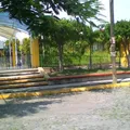 Ma. Concepcion Ortiz Silva