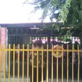 Santos Degollado