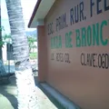 Raza de Bronce