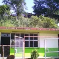 Ignacio M. Altamirano