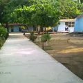 5 de Mayo