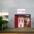Distribuidores Nissan Num. 61