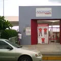Distribuidores Nissan Num. 61