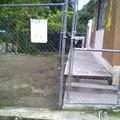 Conafe Preescolar