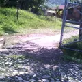 Conafe Preescolar