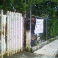 Conafe Preescolar