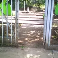 Conafe Preescolar