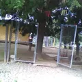 Conafe Primaria