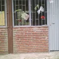 Conafe Primaria