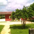 Agustin Melgar
