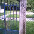 Luz del Saber