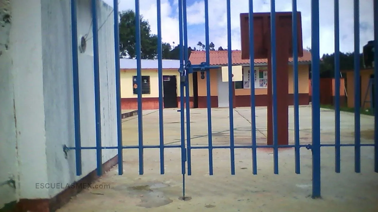 Juan Amos Comenio Entrada