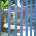 Leona Vicario Fernandez