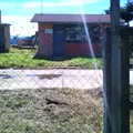 Agustin Melgar
