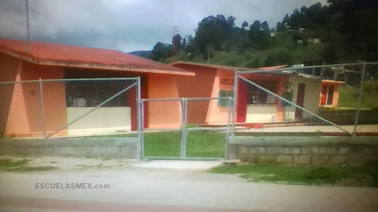 Maria Rosaura Zapata Cano Entrada
