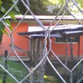 Cuitlahuac