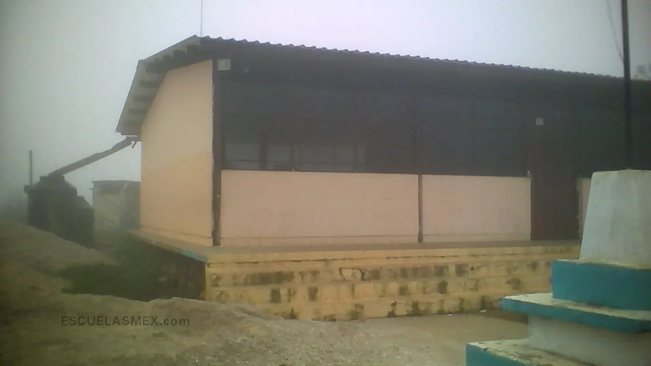 Luis Sandi Meneses Entrada