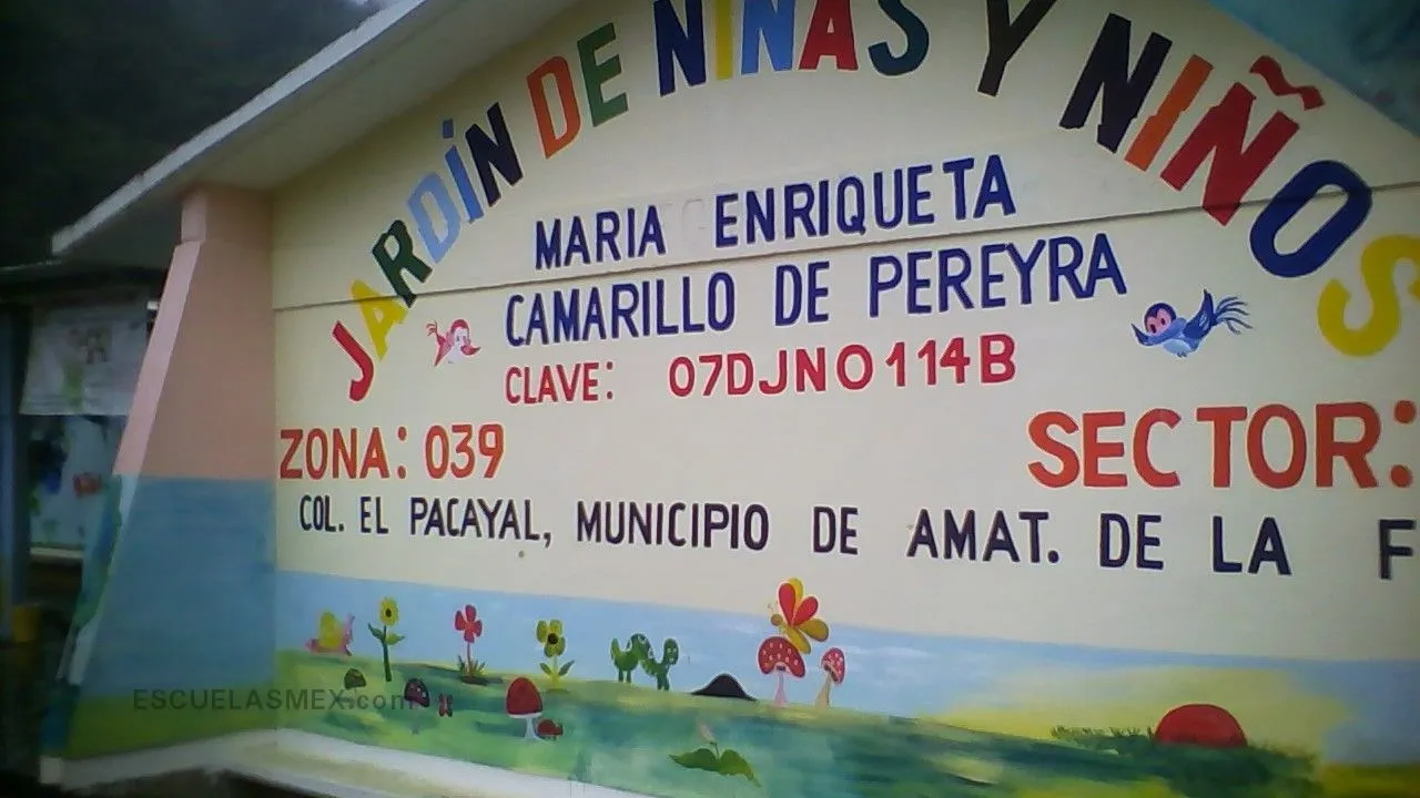 Maria Enriqueta Camarillo de Pereyra Entrada