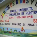 Maria Enriqueta Camarillo de Pereyra