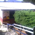Jose Ruben Romero