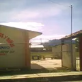 Carlos Linneo
